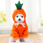 Cute Fruit Dog Hoodie for Small Pets - Image 10