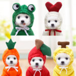 Cute Fruit Dog Hoodie for Small Pets - Image 5