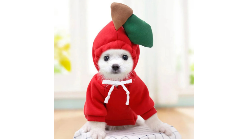 Cute Fruit Dog Hoodie for Small Pets