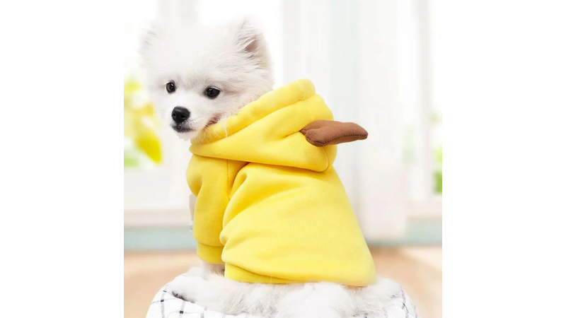 Cute Fruit Dog Hoodie for Small Pets