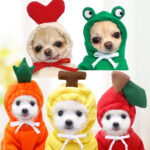 Cute Fruit Dog Hoodie for Small Pets - Image 7
